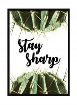 shumee SLIKA, PLAKAT V OKVIRJU 33x43 cm Ostani oster P516