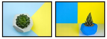 shumee SLIKOVNI PLAKATI V OKVIRJU 33x43cm Diptih Komplet 2 slik Ukrajina Sukulent P817