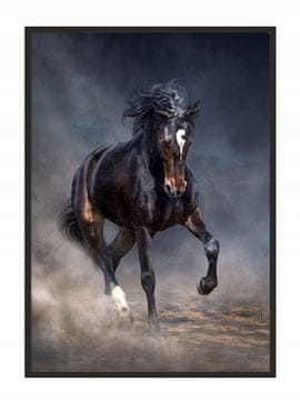 shumee PLAKAT V OKVIRJU 53x73 cm Konji P924