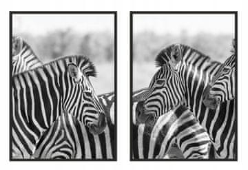 shumee SLIKOVNI PLAKATI V OKVIRJU 33x43cm Diptih Komplet 2 Zebra Zebre P971