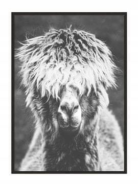 shumee PLAKAT ZA SLIKE V OKVIRJU 33x43 cm Alpaka P922