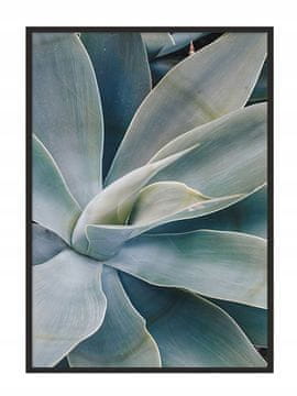 shumee PLAKAT ZA SLIKE V OKVIRJU 53x73 cm Agawa P840