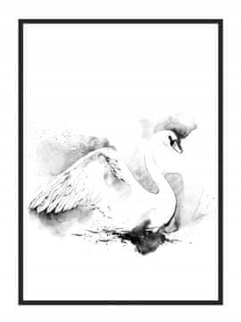 shumee PLAKAT V OKVIRJU 53x73 cm Labod P748