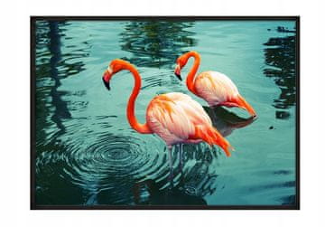 shumee PLAKAT ZA SLIKE V OKVIRJU 43x33 cm Flamingo P666