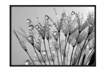 shumee PLAKAT ZA SLIKE V OKVIRJU 43x33 cm Rosa P675