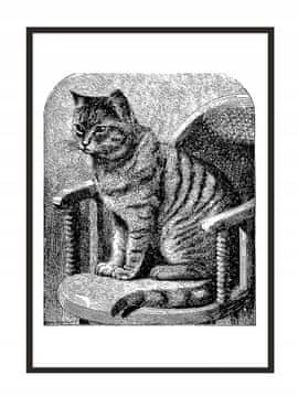 shumee PLAKAT ZA SLIKE V OKVIRJU 53x73 cm Mačka P802