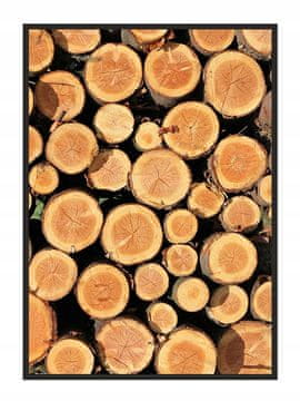 shumee SLIKOVNI PLAKAT V OKVIRJU 33x43 cm Les P776