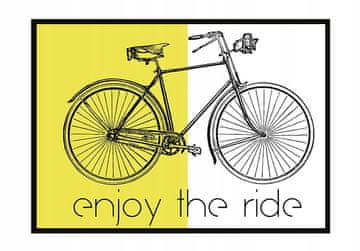 shumee PLAKAT ZA SLIKE V OKVIRJU 53x73 cm Kolo P991