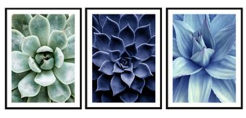shumee SLIKOVNI PLAKATI V OKVIRJU 73x53cm Triptih Komplet 3 slik Rože Listi P2004