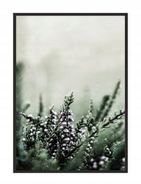 shumee PLAKAT V OKVIRJU 33x43 cm Travnik P1773
