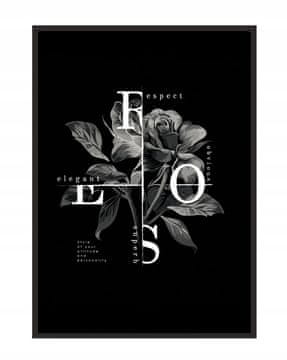 shumee PLAKAT ZA SLIKE V OKVIRJU 53x73 cm Roza P1080