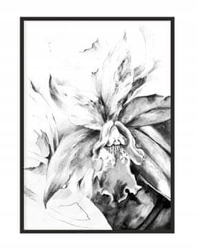 shumee PLAKAT ZA SLIKE V OKVIRJU 53x73 cm Cvet P1099