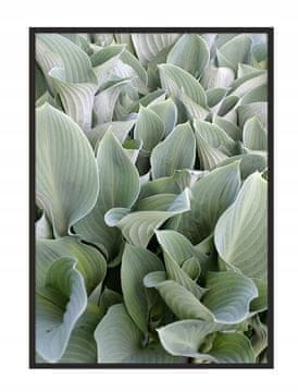 shumee PLAKAT V OKVIRJU 53x73 cm Listi P1039