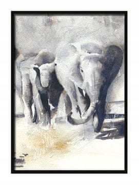 shumee PLAKAT V OKVIRJU 33x43 cm Sloni P559