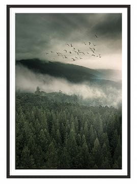 shumee SLIKA, PLAKAT V OKVIRJU 53x73 cm Gore P2017