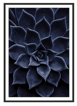 shumee SLIKA, PLAKAT V OKVIRJU 53x73 cm Listi P2011