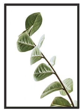 shumee PLAKAT ZA SLIKE V OKVIRJU 53x73 cm Boho P2214