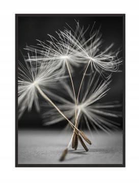 shumee SLIKA, PLAKAT V OKVIRJU 33x43 cm Regrat P521