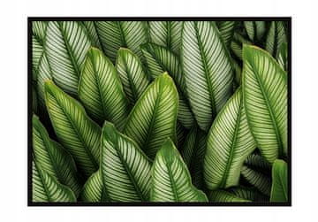shumee PLAKAT V OKVIRJU 53x73 cm Listi P1119