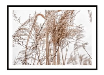 shumee PLAKAT ZA SLIKE V OKVIRJU 33x43 cm Boho P2242