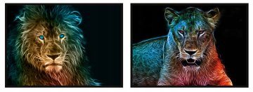 shumee SLIKOVNI PLAKATI V OKVIRJU 53x73cm Diptih Komplet 2 slik Rasta Lev Levi P756