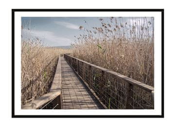 shumee PLAKAT V OKVIRJU 53x73 cm Pier artikel P2267