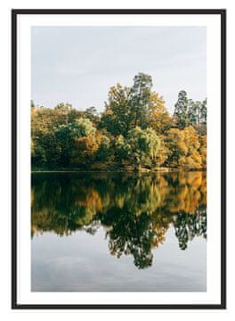 shumee SLIKA, PLAKAT V OKVIRJU 53x73 cm Gozd P2012