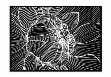 shumee PLAKAT ZA SLIKE V OKVIRJU 53x73 cm Cvet P1059