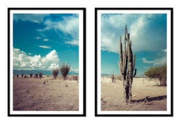 shumee SLIKOVNI PLAKATI V OKVIRJU 53x73cm Diptih Komplet 2 slik Kaktusi Boho P2150