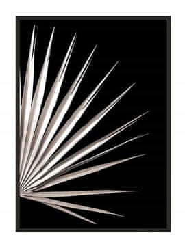 shumee PLAKAT ZA SLIKE V OKVIRJU 53x73 cm List P867