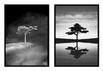 shumee SLIKARSKI PLAKATI V OKVIRJU 53x73cm Diptih Komplet 2 slik Osamljeno drevo P1719