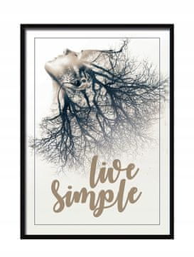 shumee SLIKA, PLAKAT V OKVIRJU 73x53 cm V živo P515