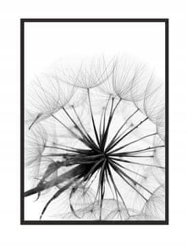 shumee SLIKA, PLAKAT V OKVIRJU 73x53 cm Regrat P505