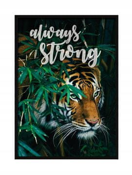 shumee SLIKA, PLAKAT V OKVIRJU 73x53 cm Tiger P527
