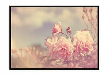 shumee PLAKAT ZA SLIKE V OKVIRJU 53x73 cm Rože P1220