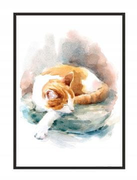 shumee PLAKAT ZA SLIKE V OKVIRJU 33x43 cm Mačka P1432