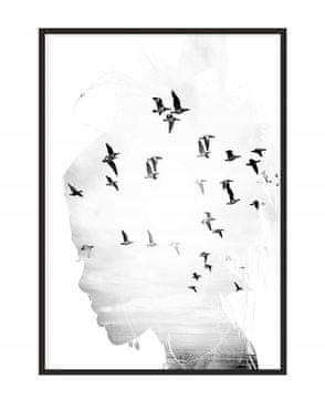 shumee PLAKAT ZA SLIKOVNO PLAKATNO OBLIKO V OKVIRJU 53x73 cm Dekle P1252