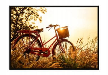 shumee PLAKAT ZA SLIKE V OKVIRJU 33x43 cm Kolo P1448