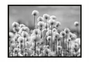 shumee SLIKOVNI PLAKAT V OKVIRJU 53x73 cm Regrat P899