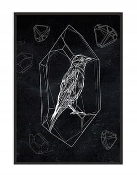 shumee PLAKAT ZA SLIKOVNI OKVIR 53x73 cm Ptica P1516