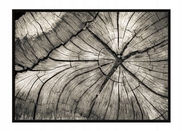 shumee PLAKAT V OKVIRJU 53x73 cm Les P1688