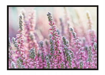 shumee PLAKAT V OKVIRJU 53x73 cm Travnik P1638