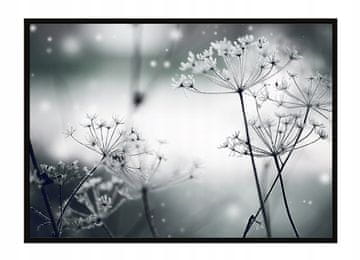 shumee PLAKAT V OKVIRJU 53x73 cm Regrat P1487