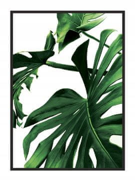 shumee SLIKA, PLAKAT V OKVIRJU 33x43 cm Monstera P842