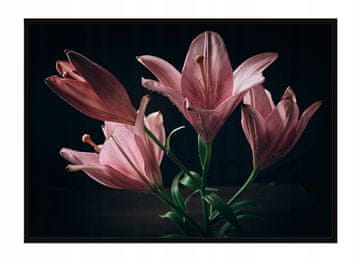 shumee PLAKAT ZA SLIKE V OKVIRJU 53x73 cm Rože P1621