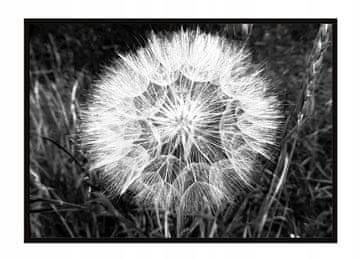 shumee PLAKAT V OKVIRJU 53x73 cm Regrat P1498