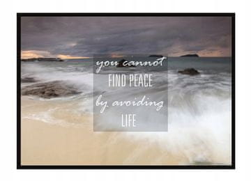 shumee PLAKAT V OKVIRJU 33x43 cm Life P1751