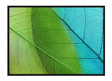 shumee PLAKAT V OKVIRJU 53x73 cm Listi P1643