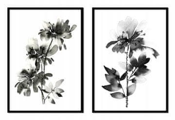 shumee SLIKOVNI PLAKATI V OKVIRJU 53x73cm Diptih Komplet 2 slik Rože Črne P1715