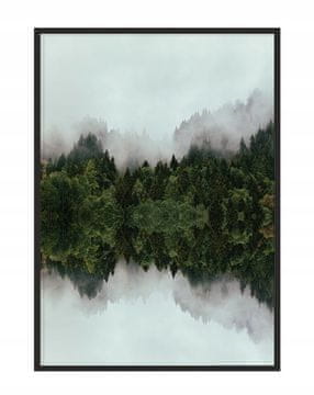 shumee PLAKAT V OKVIRJU 53x73 cm Gozd P1168